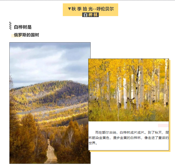 1663639431140455.png 1663639431140455.png