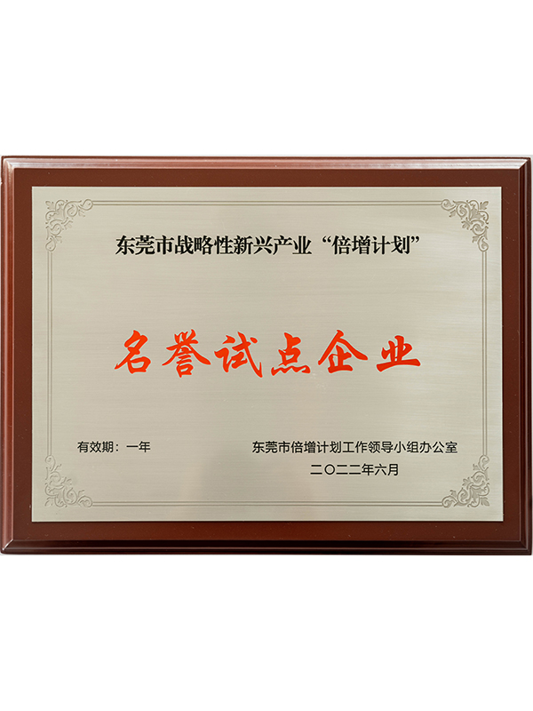 名譽(yù)試點(diǎn)企業(yè)